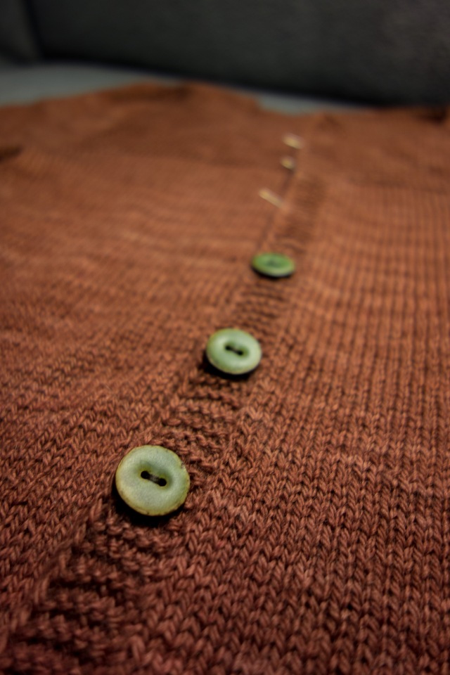 Brown Cria with three green coconut buttons sewn in